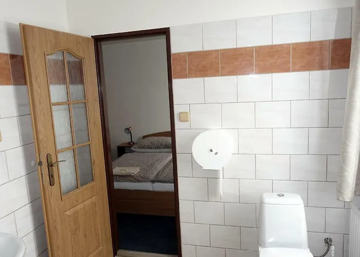 Pensionat Staric 3*